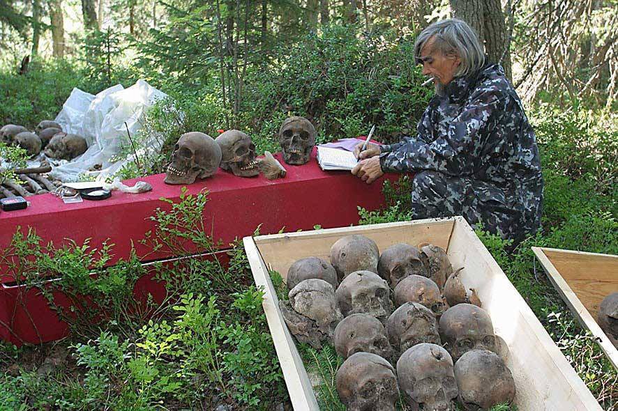 Dmitriev, 2008 Solovki (Meisterman)