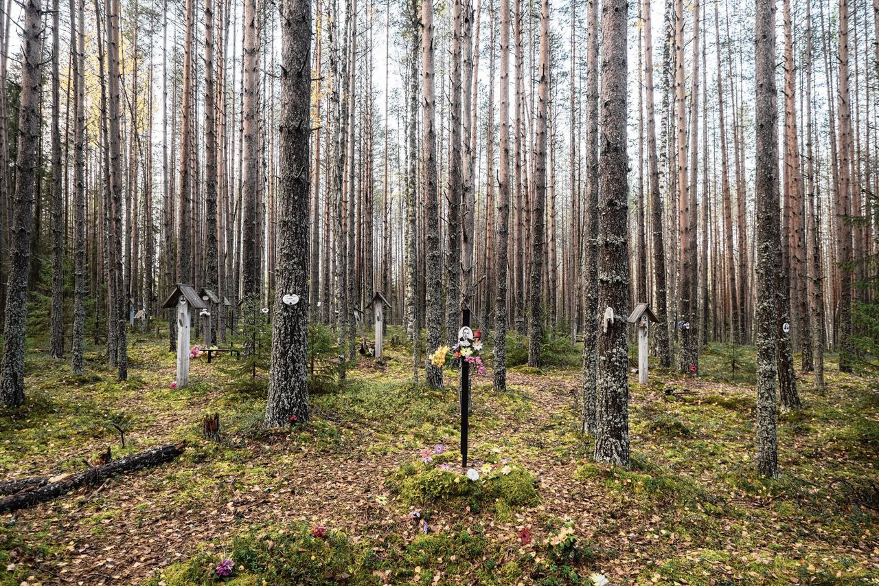 Sandarmokh (Dutch photo).jpg